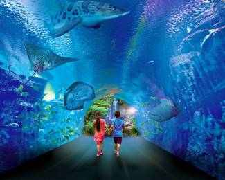 Hurghada Grand Aquarium photo